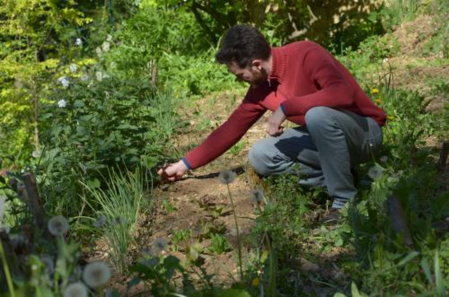 La permaculture ou l’art de l’observation