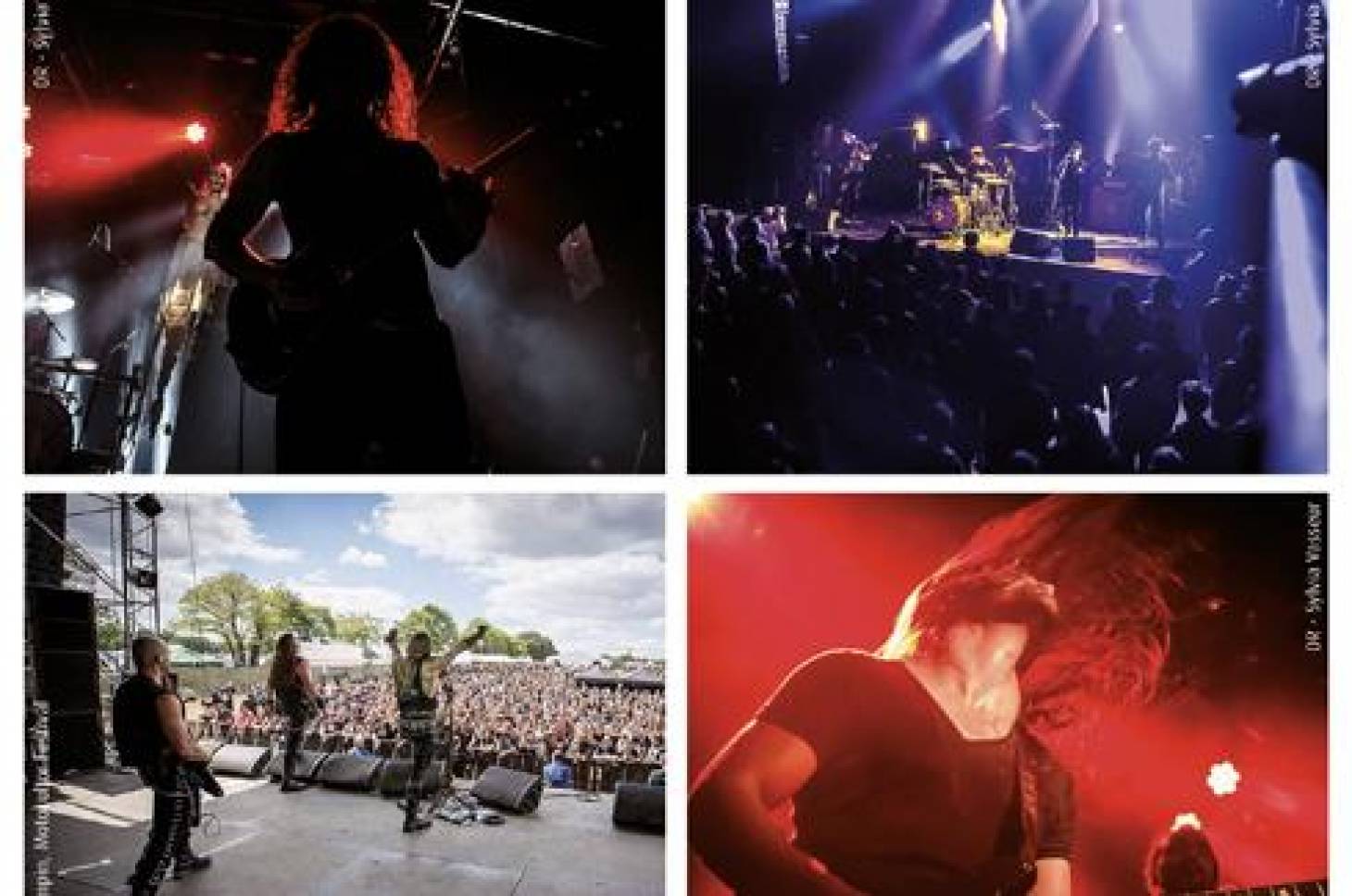Le Poitou, terre de metal