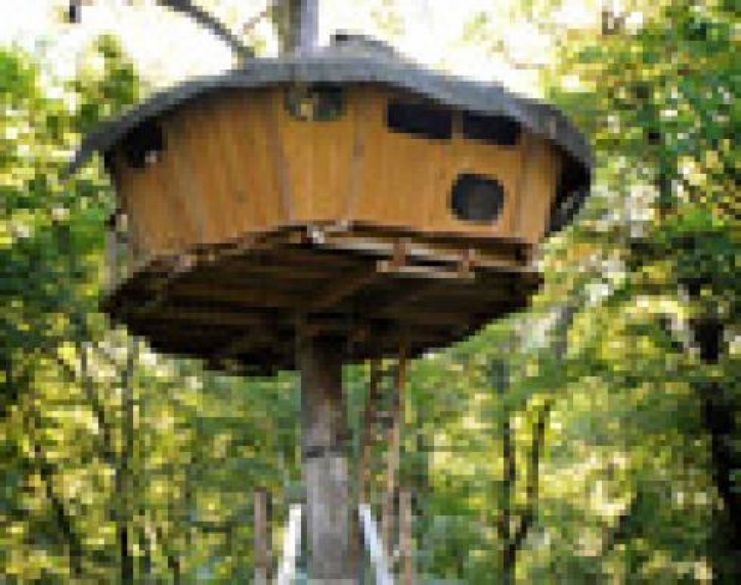 Parc de la Belle : Une nuit au cœur de la forêt