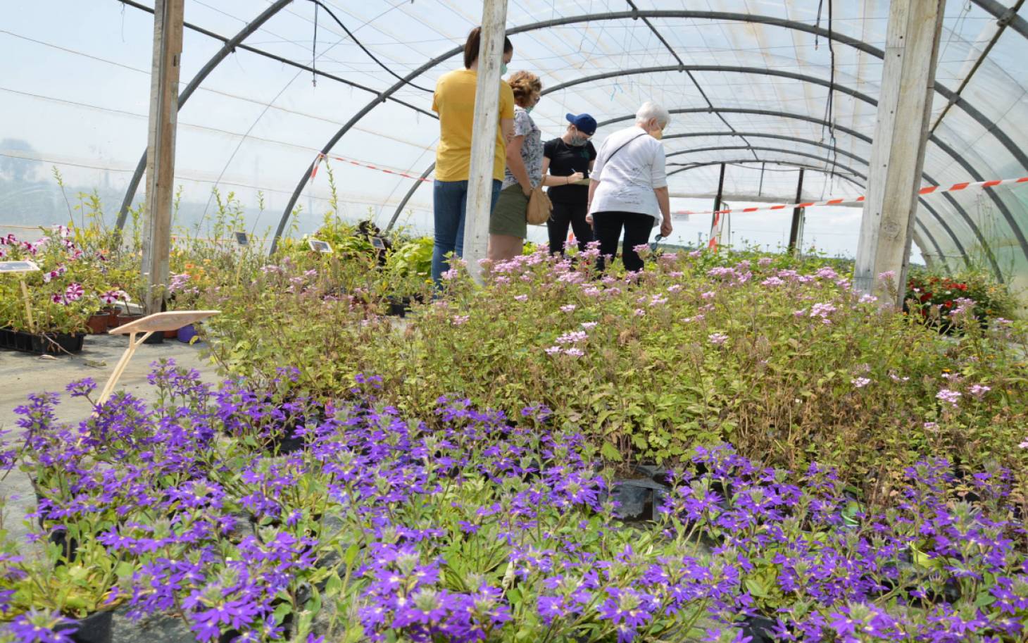 Insertion : Un jardin pour faire société