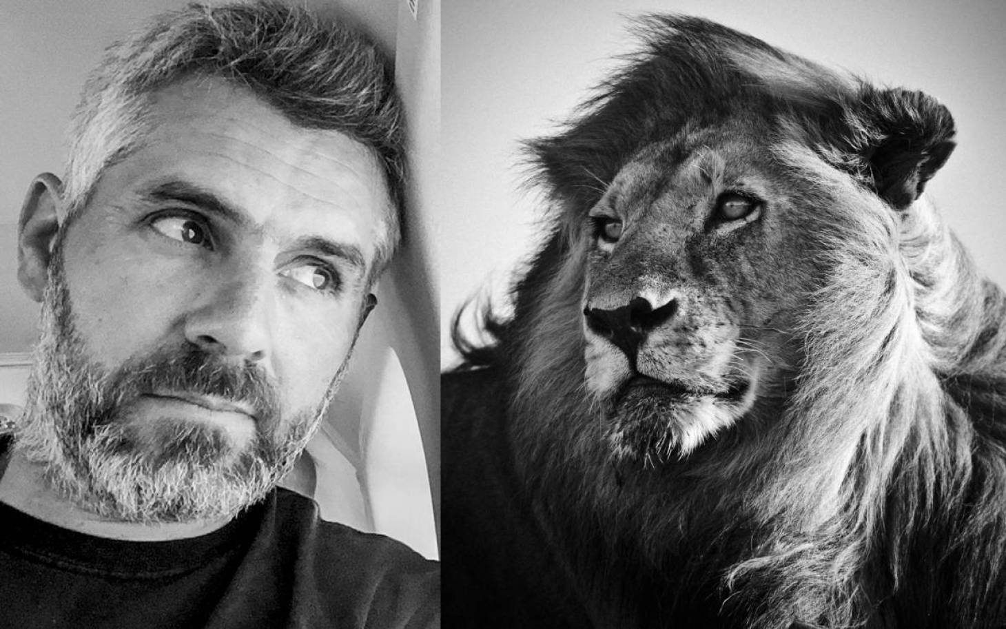 Laurent Baheux au chevet des refuges animaliers