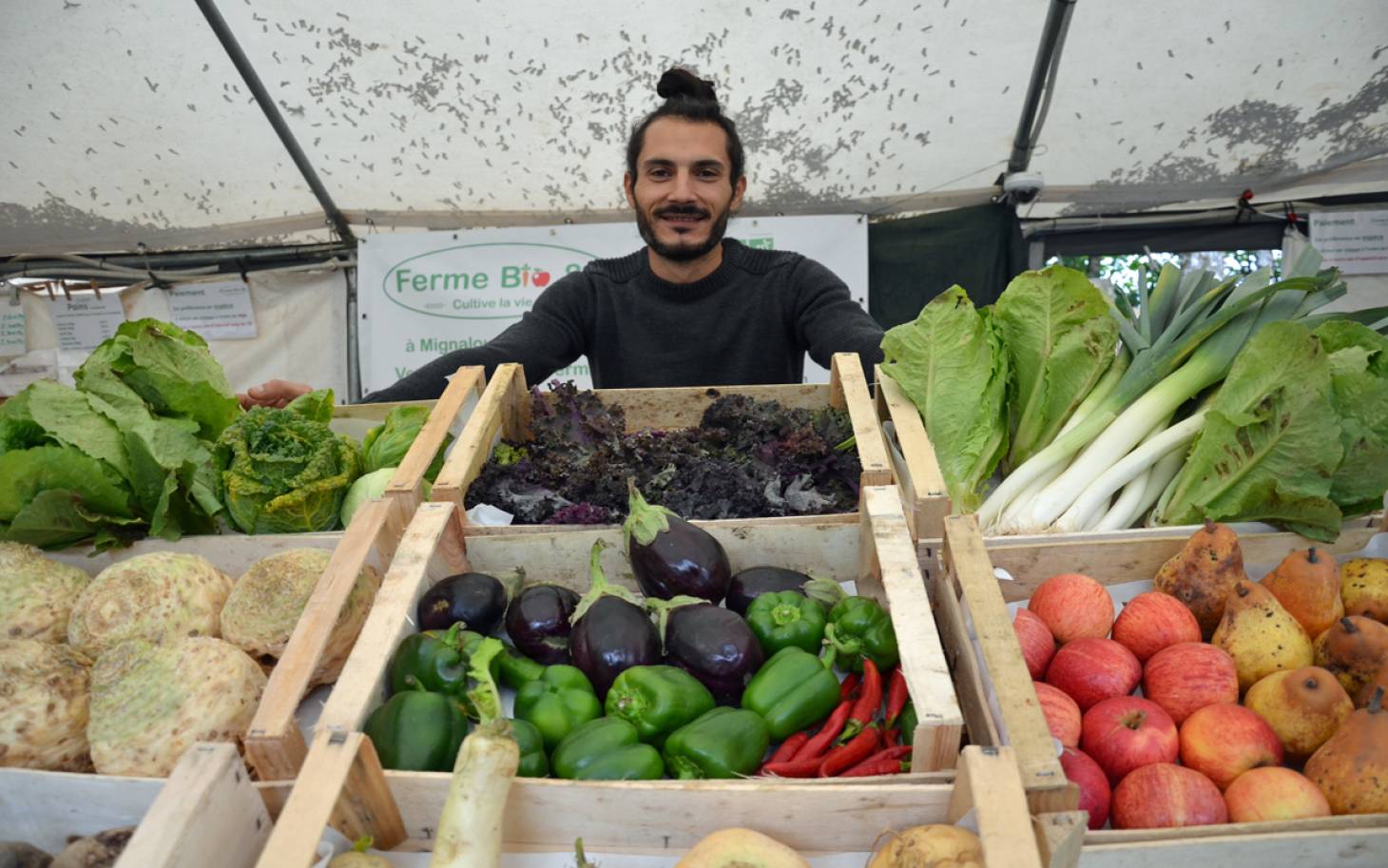 Mois de la bio : +10,4% de fermes bio dans la Vienne en 2019