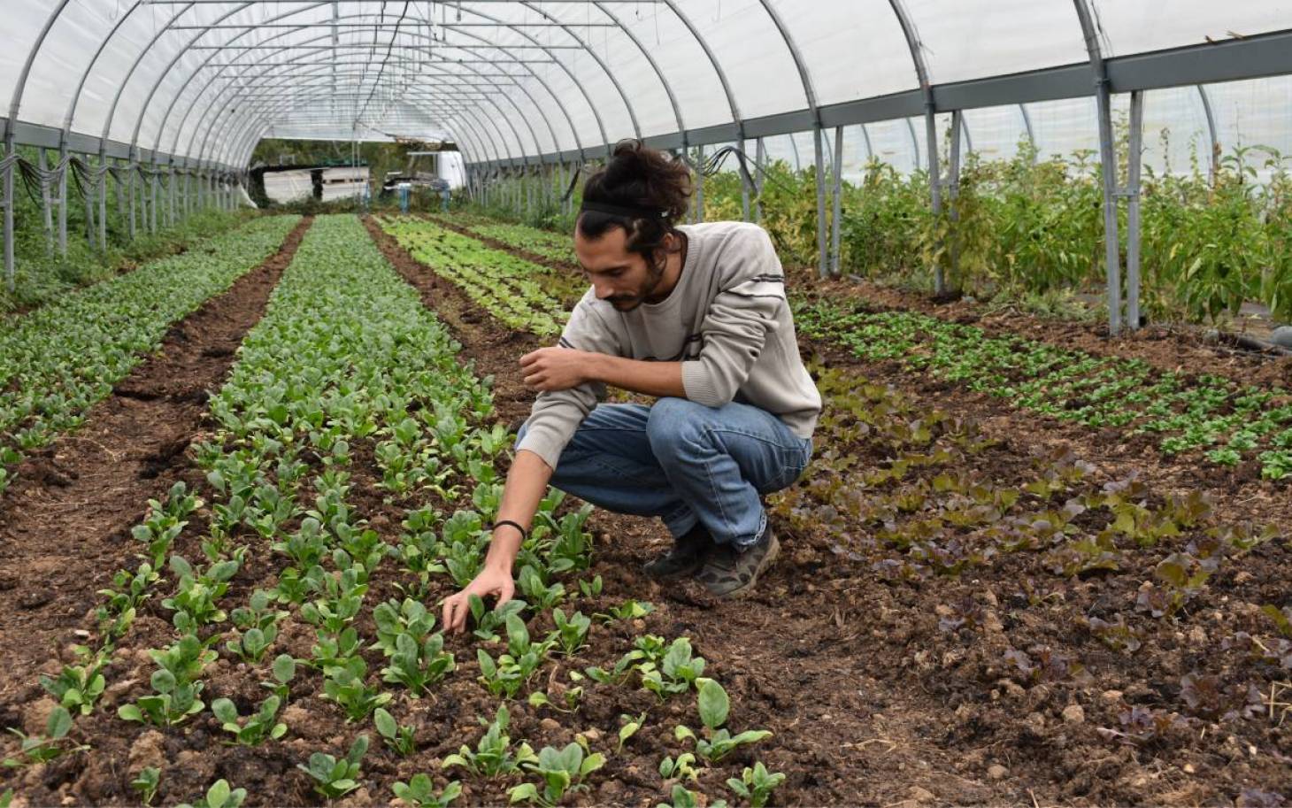 Plan alimentaire territorial : après le diagnostic, le programme d’actions