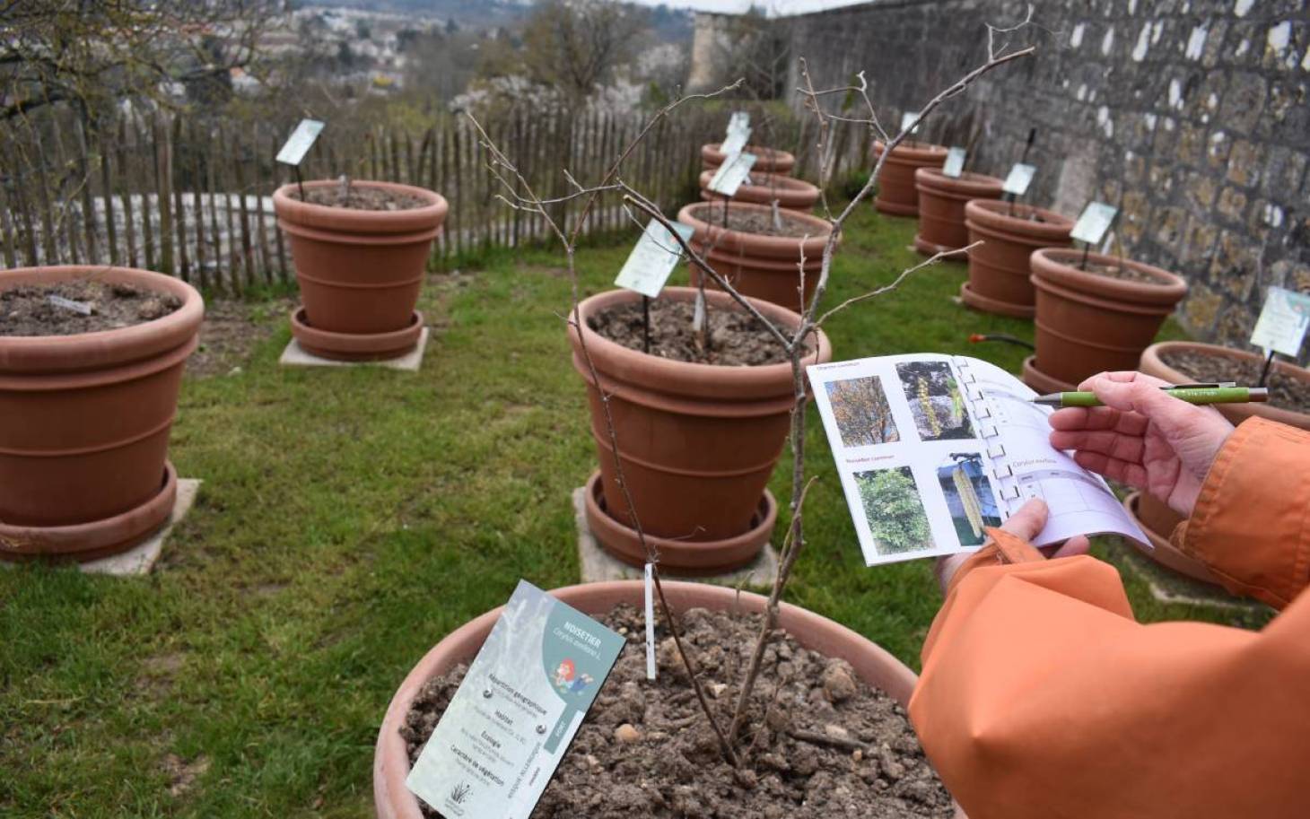 Pollinarium sentinelle, un rempart contre les allergies