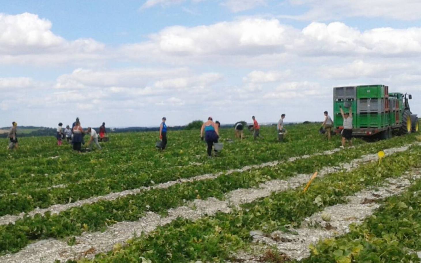 Dans la Vienne, les jobs saisonniers se débloquent