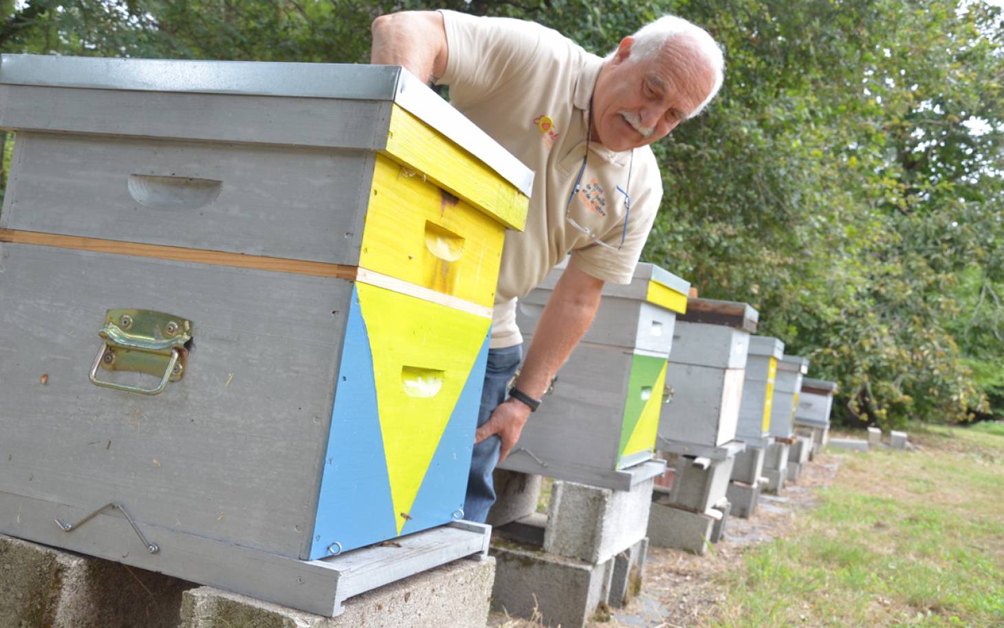 Châtellerault - Les apiculteurs  ouvrent leurs ruches