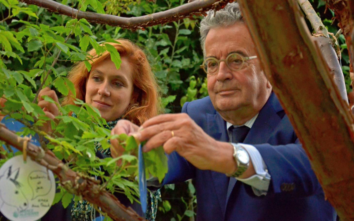 Journée mondiale Alzheimer - Un arbre pour symboliser le combat contre la maladie