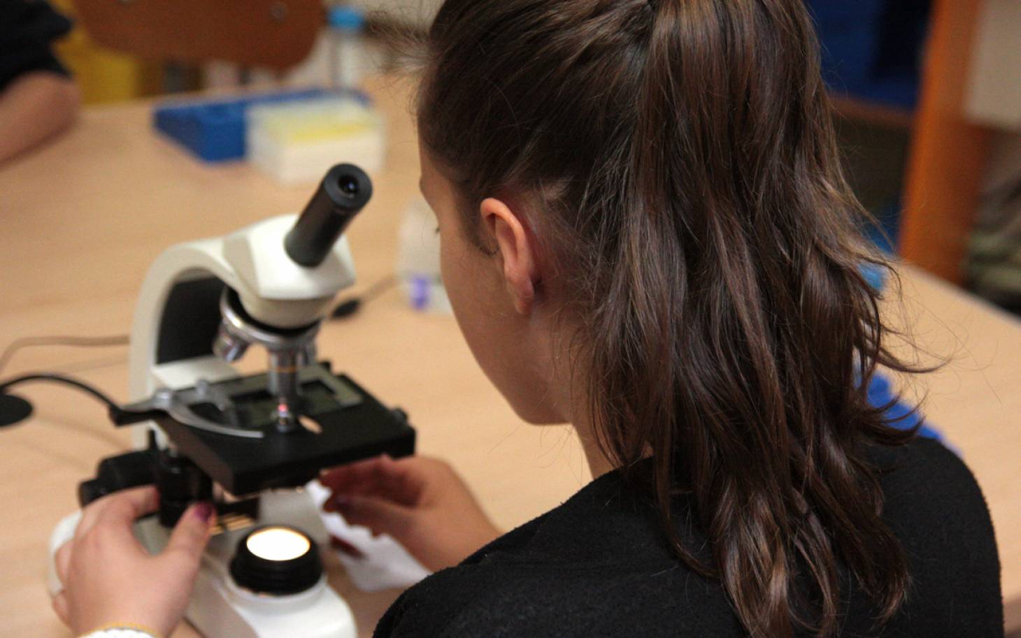 Faites des sciences  pour les fêtes