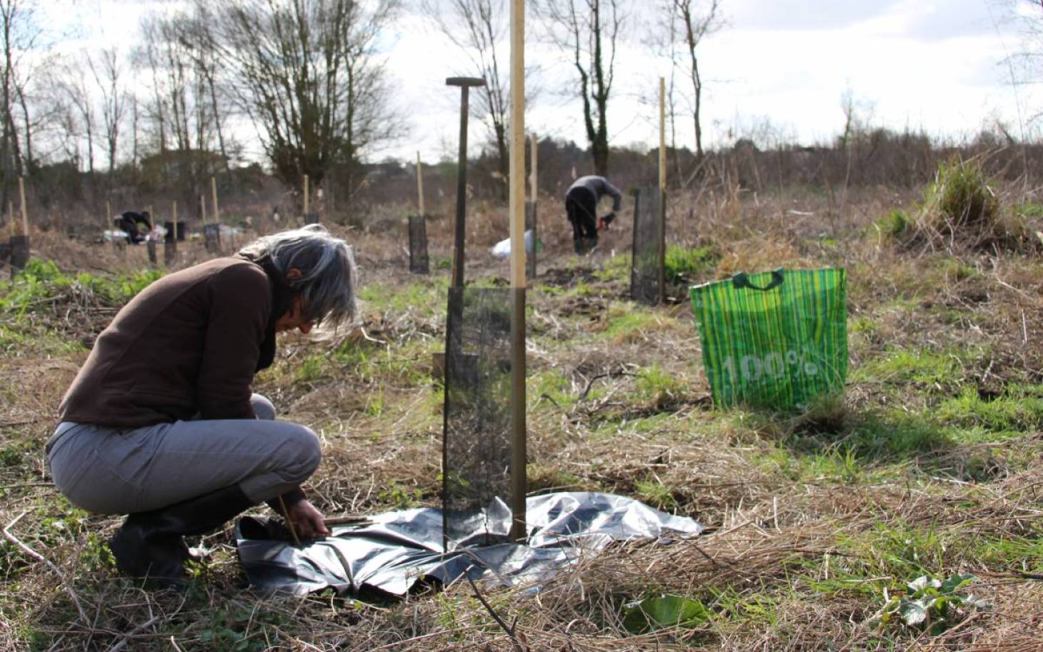 Ils replantent une forêt à Jaunay-Marigny