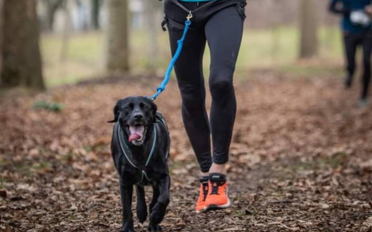 Quand le sport a du chien