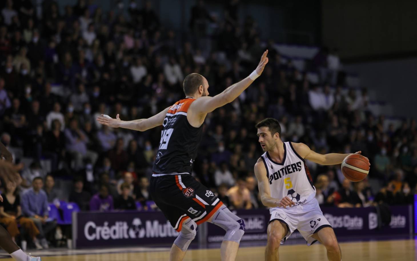 Basket - Poitiers au Havre l'esprit libre