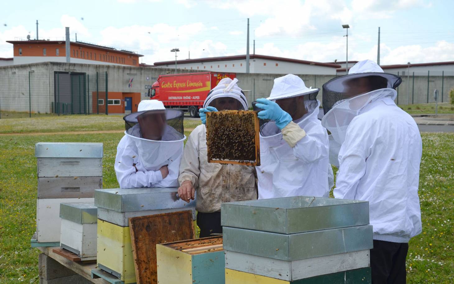 La réinsertion par les abeilles