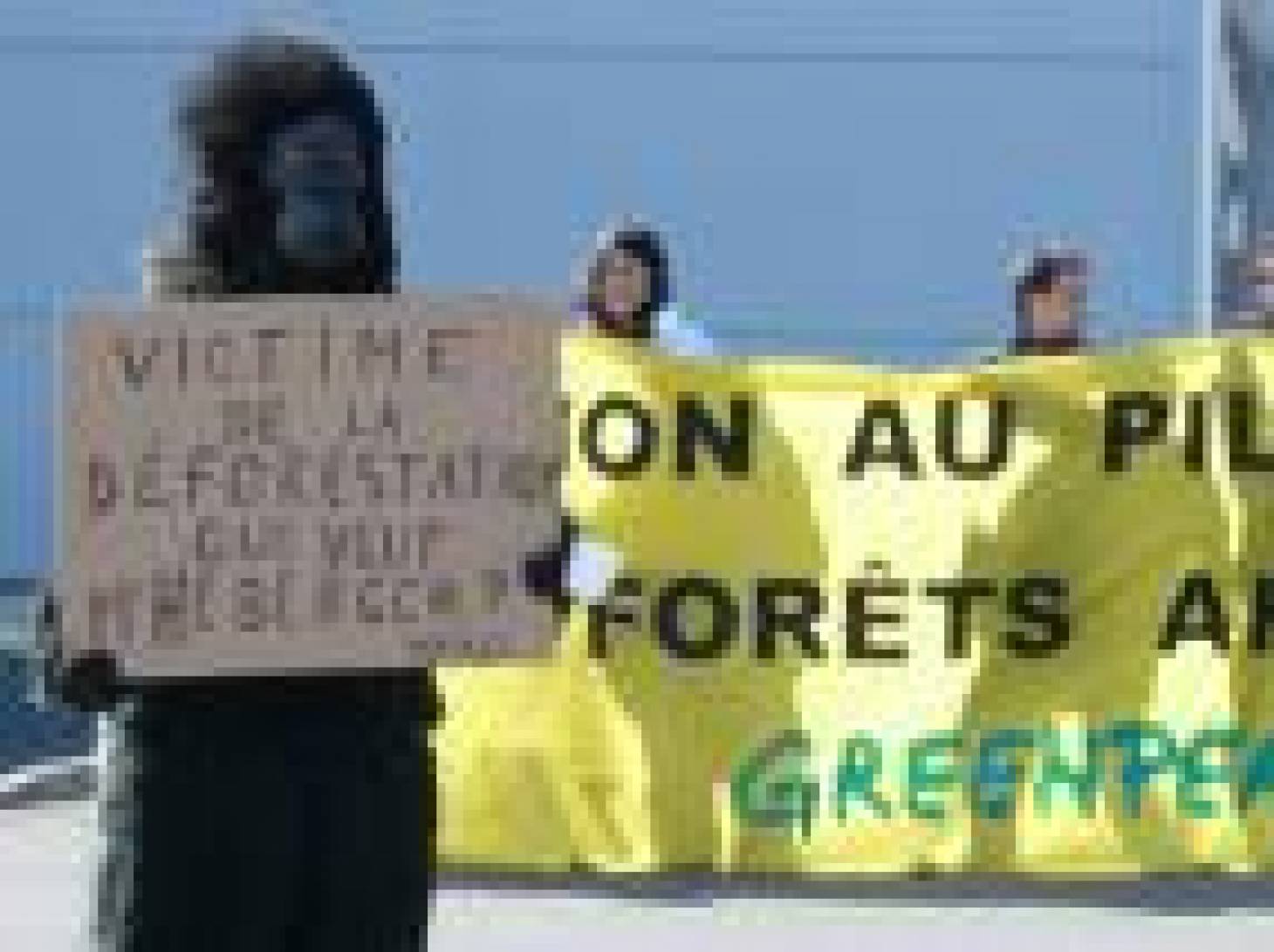 Greenpeace passe à l’acte