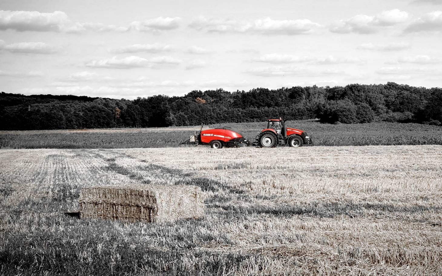 La mort  est (toujours) dans le pré