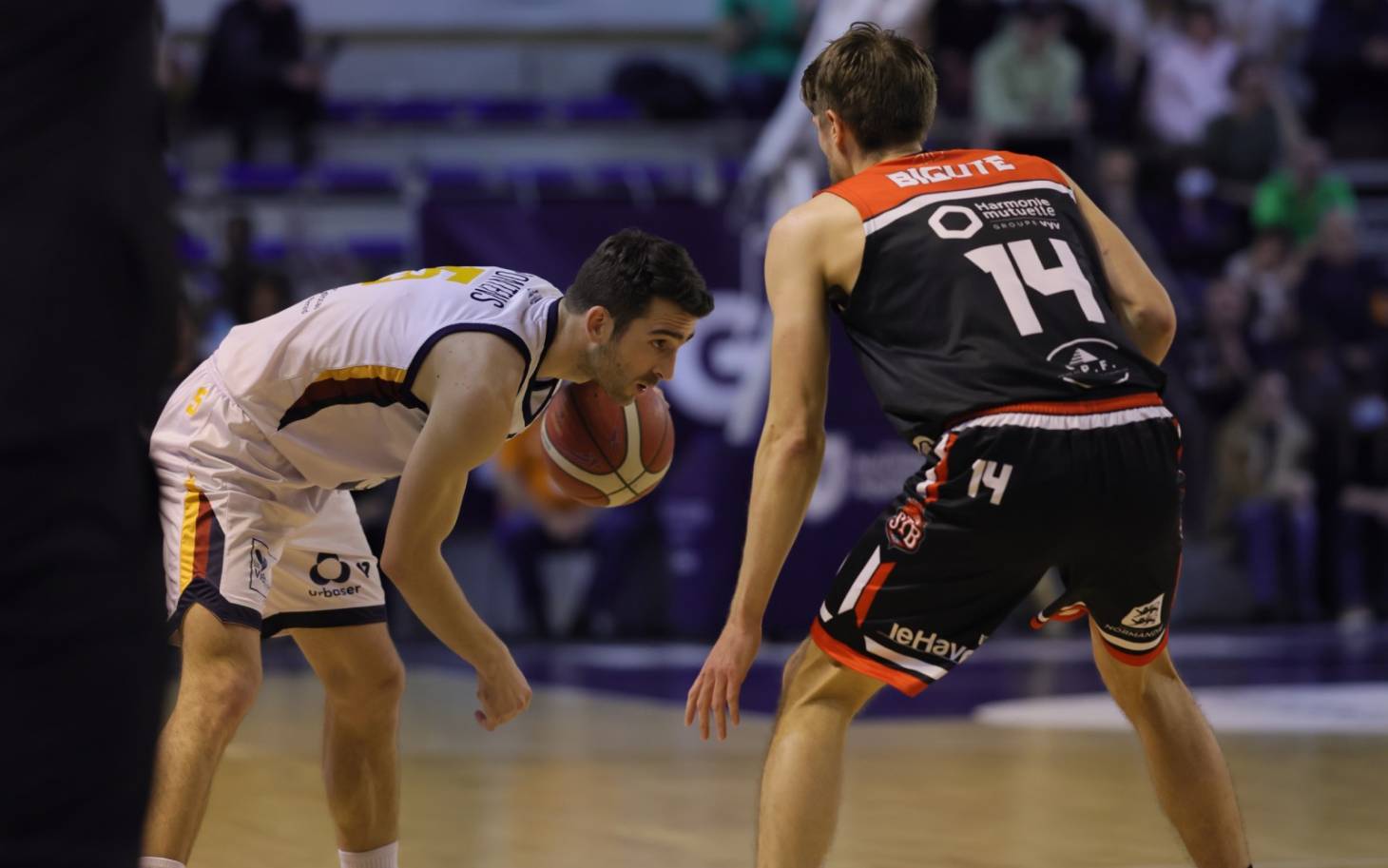 Basket - Au Havre avec de l'ambition