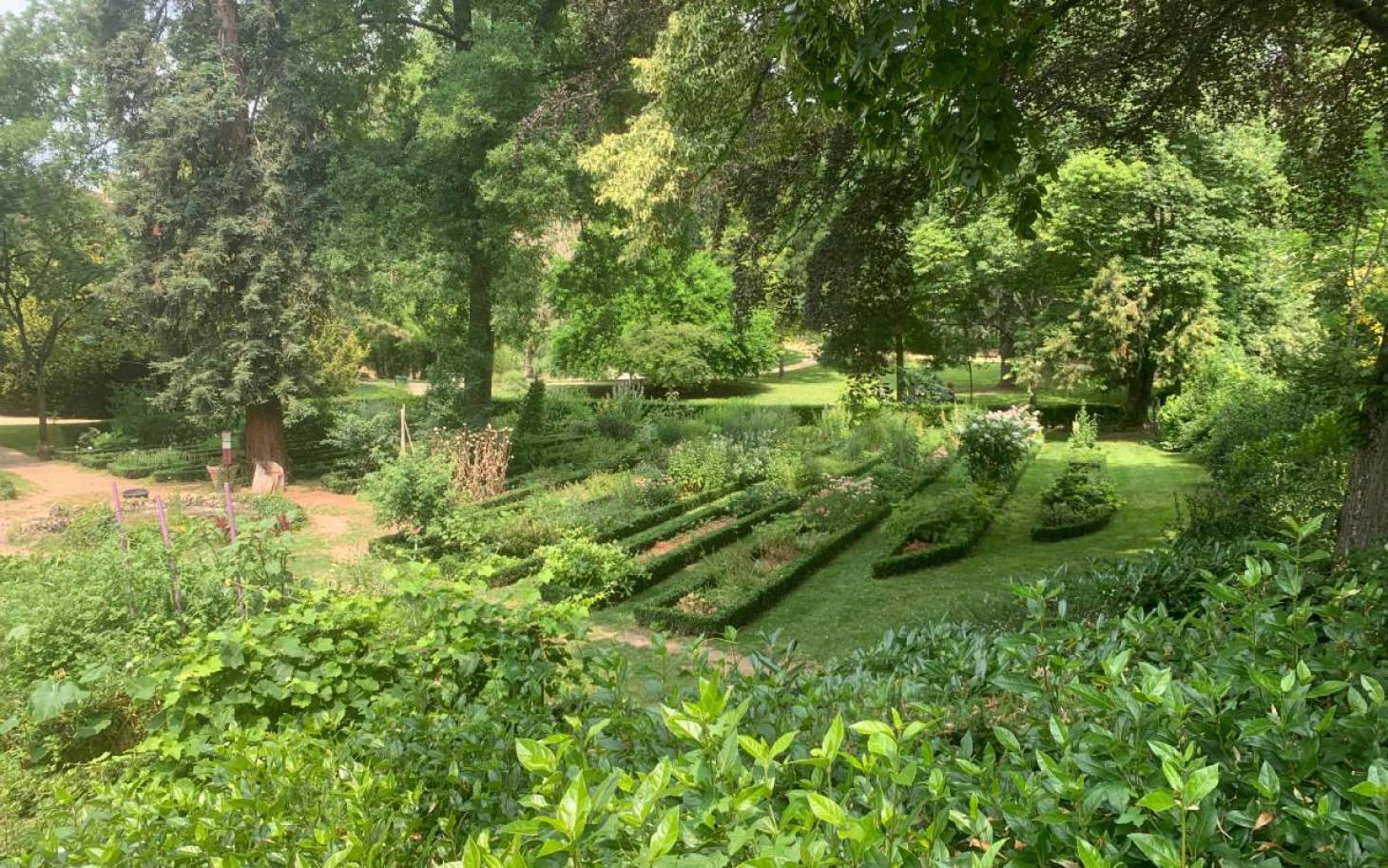 J comme Jardin des plantes