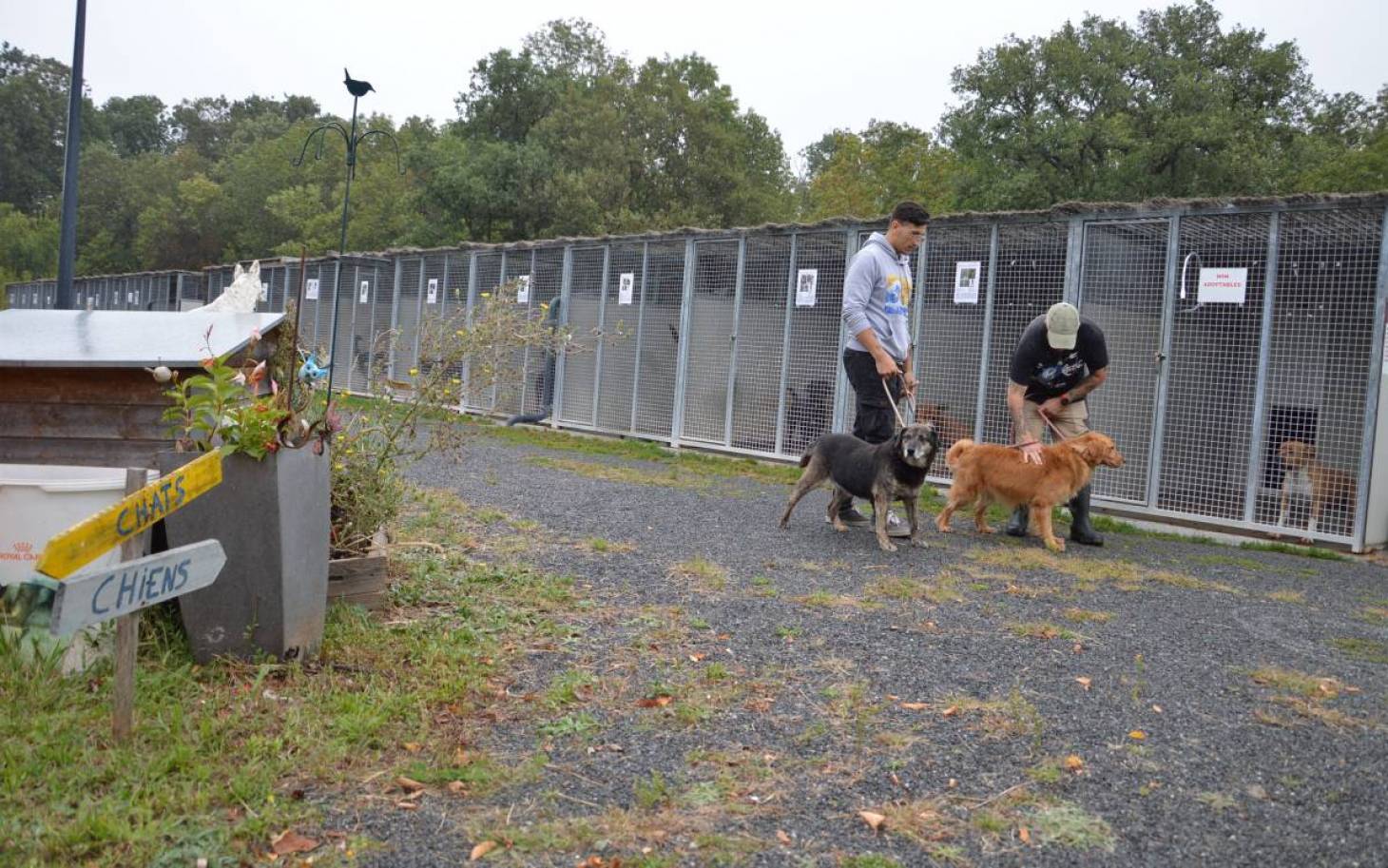 Les refuges aux abois