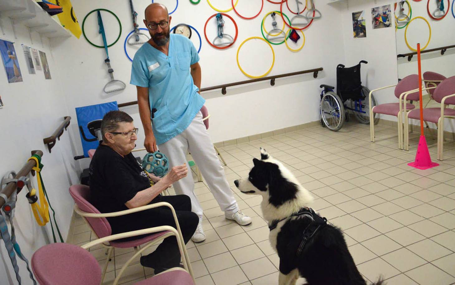 Les animaux  admis en Ehpad