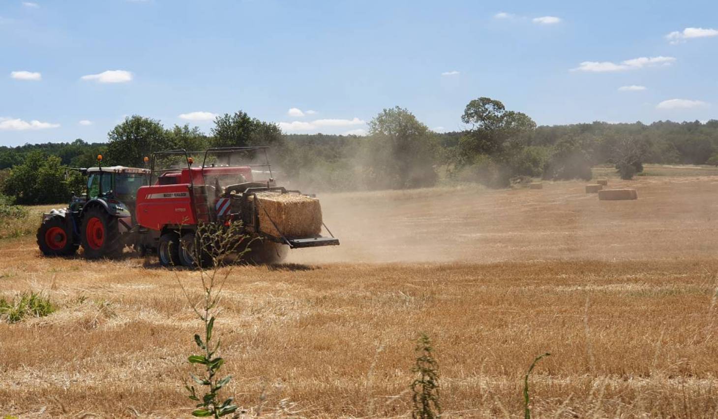 Une baisse des actes d’agribashing dans la Vienne