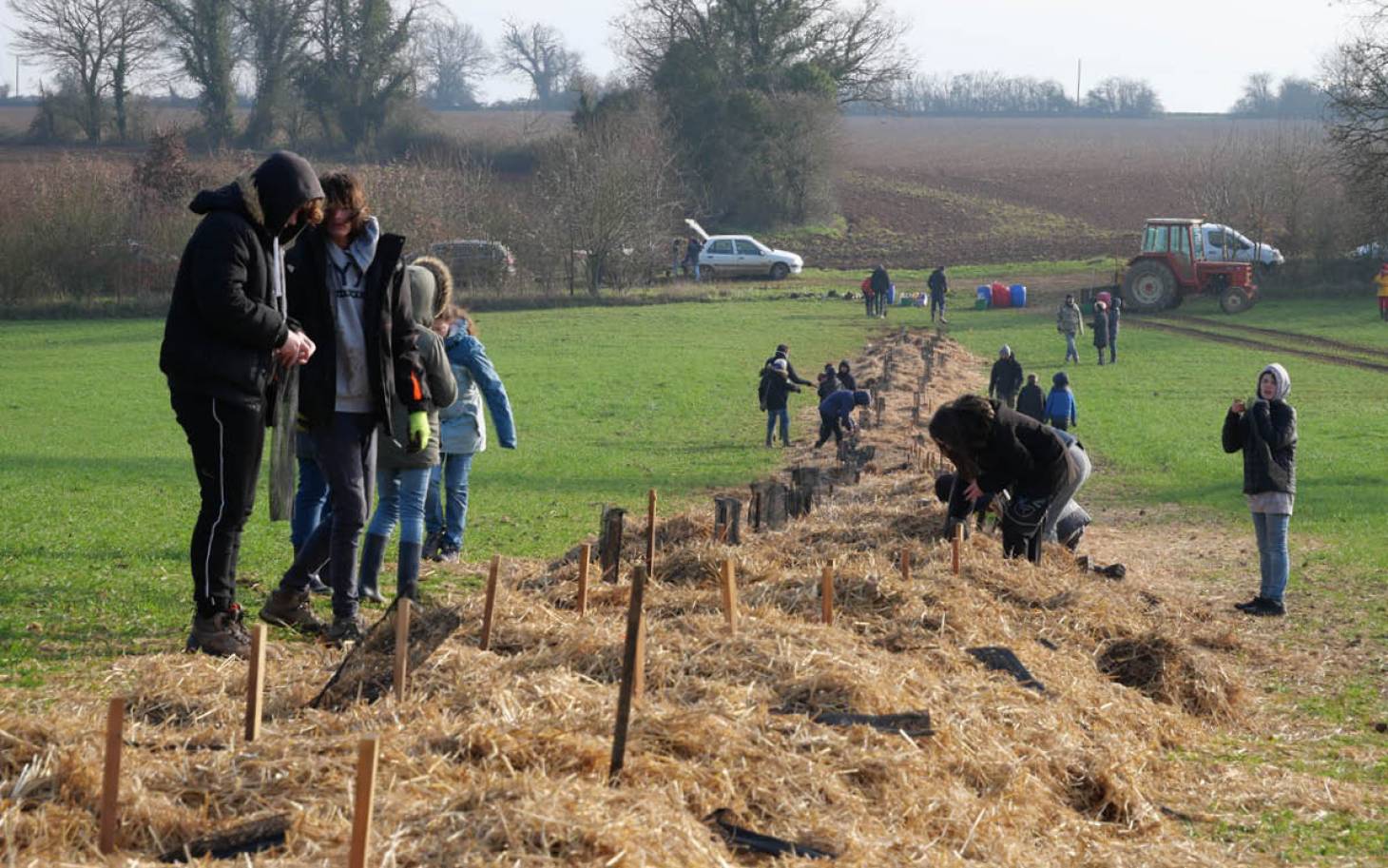 Quand la plantation de haies et d'arbres favorise la biodiversité dans la Vienne