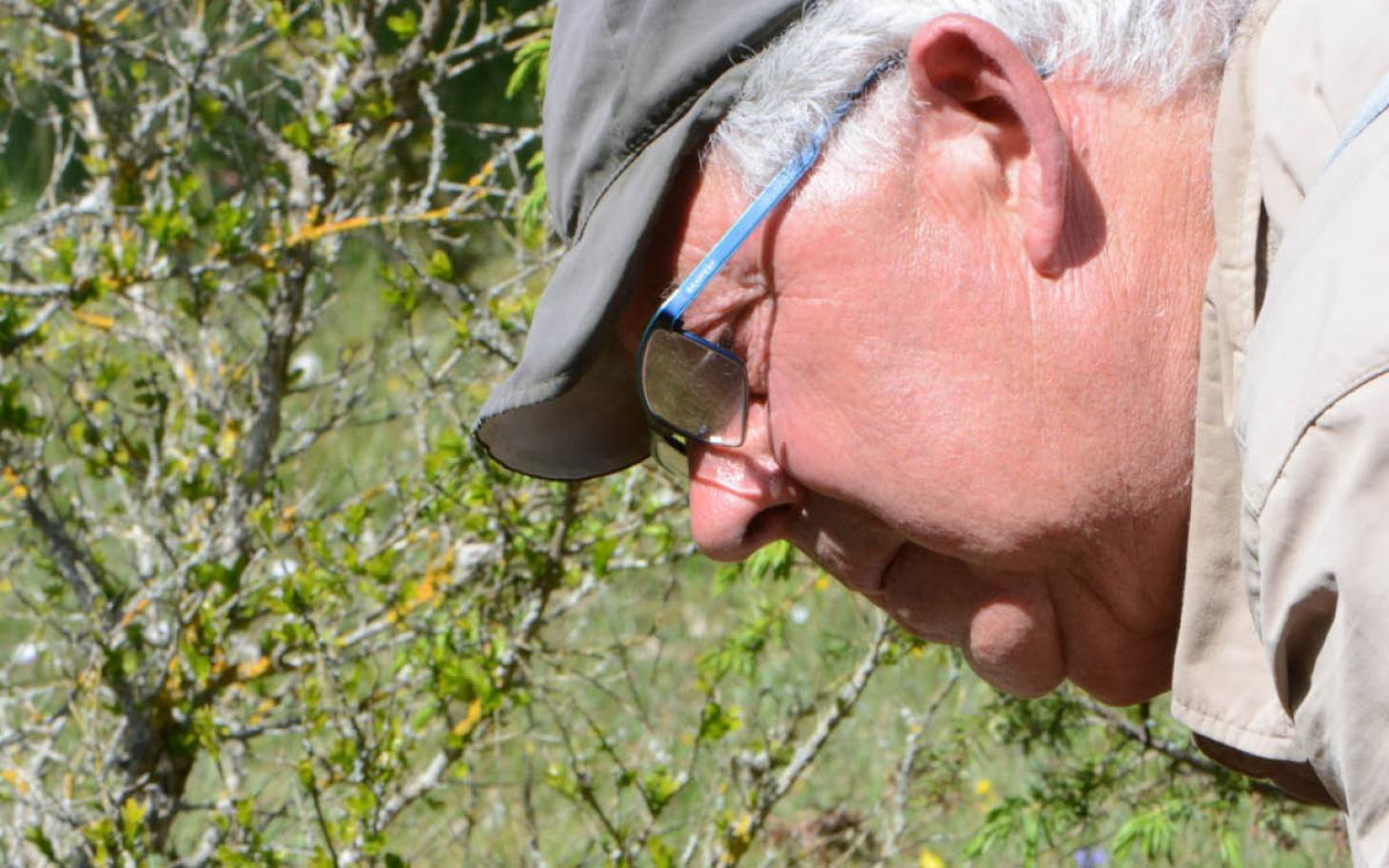 L’orchidée, la seconde nature de Bernard Renault