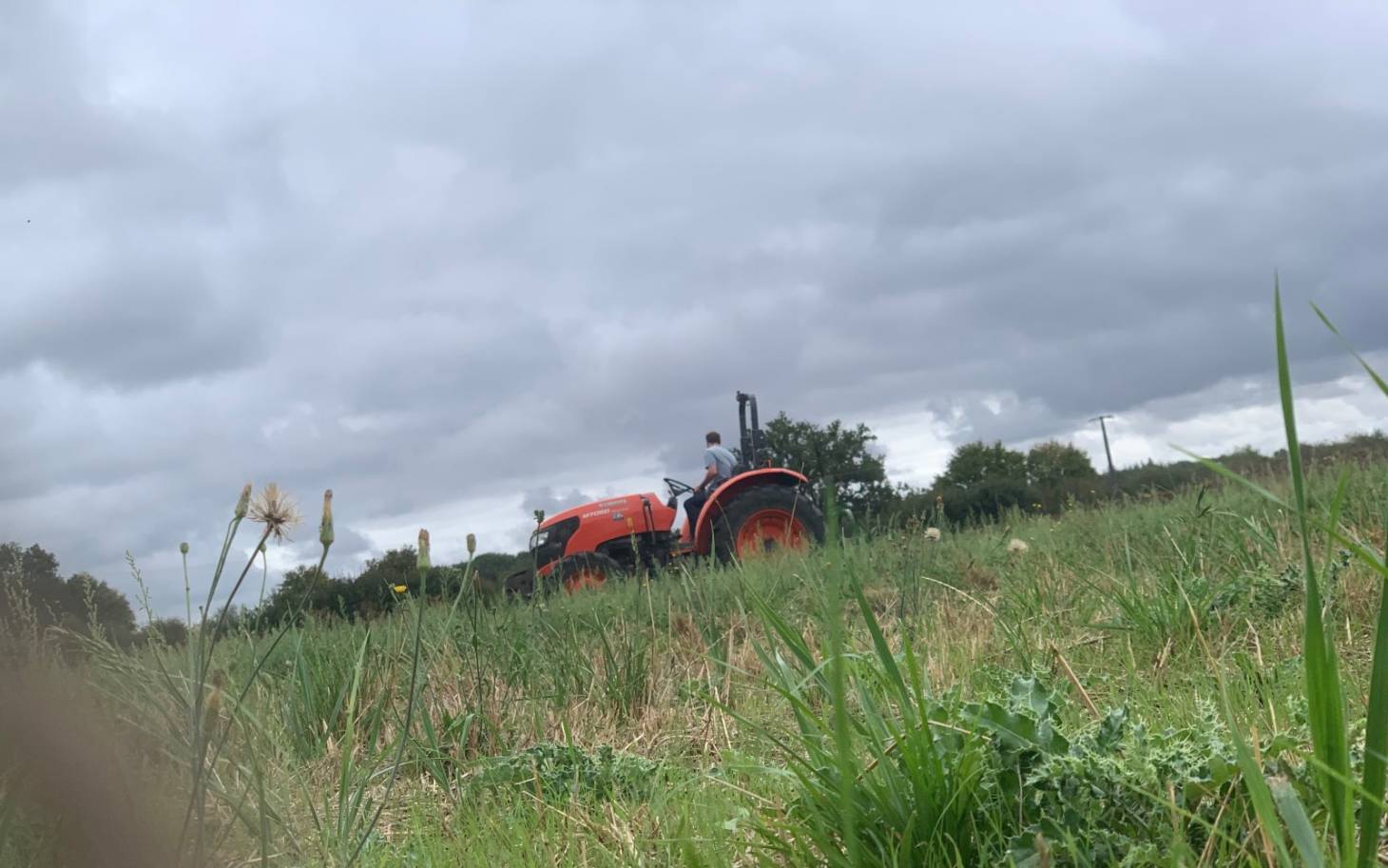 SCIC Ceinture verte Grand Poitiers : vers un rejet du déféré préfectoral