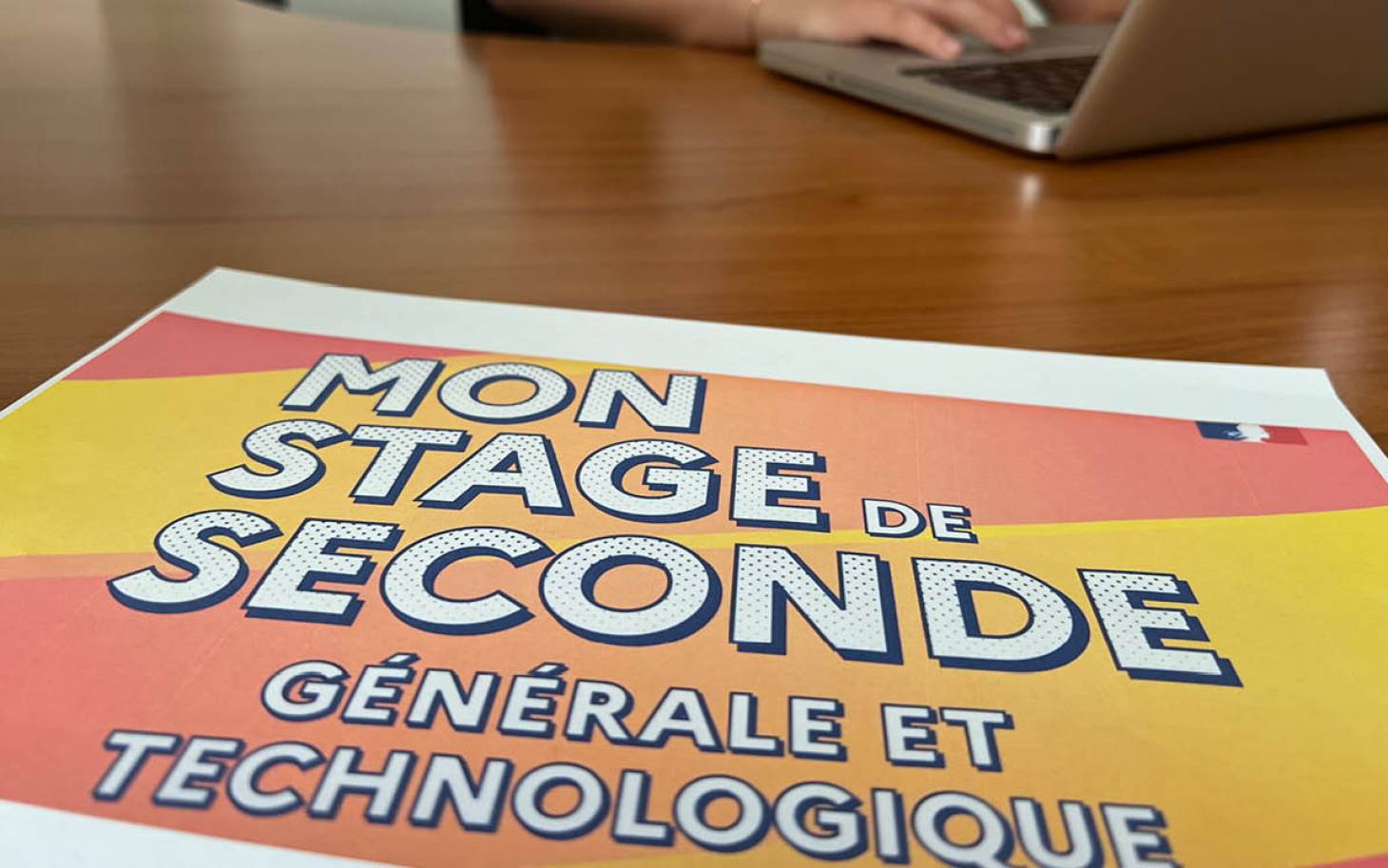 Stages de seconde :  peut mieux faire