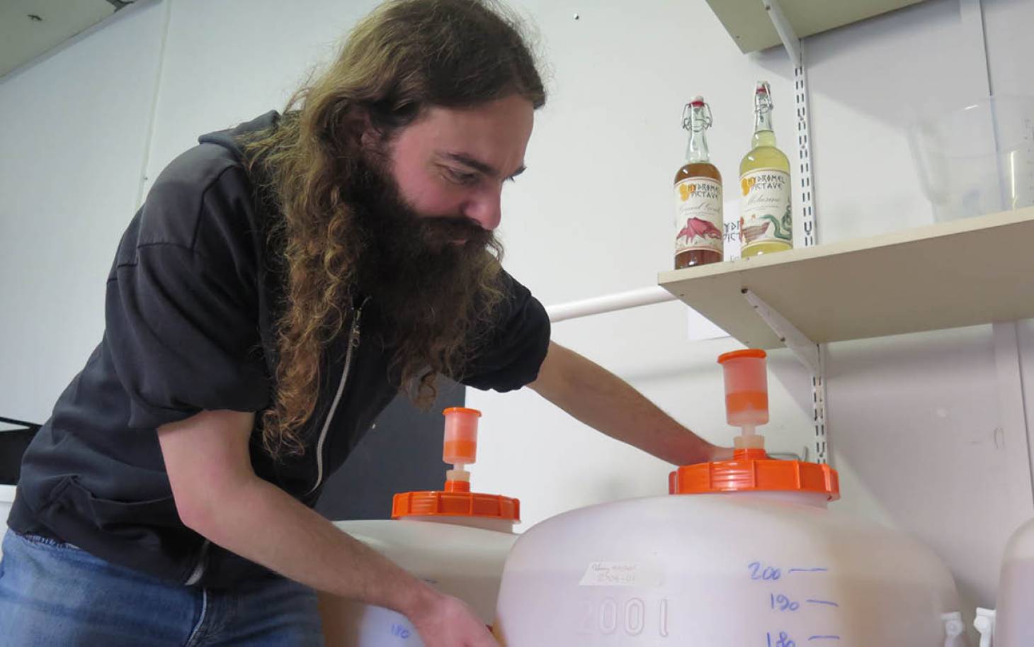 Il brasse de  l’hydromel