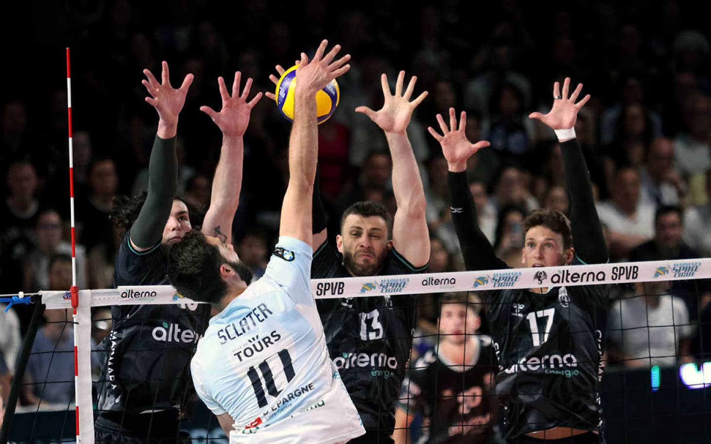 Volley, basket... Jusqu'où iront-ils ?