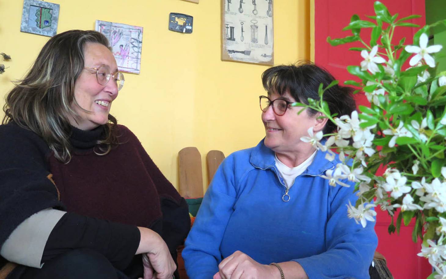 Le Piestival, petit mais hardi