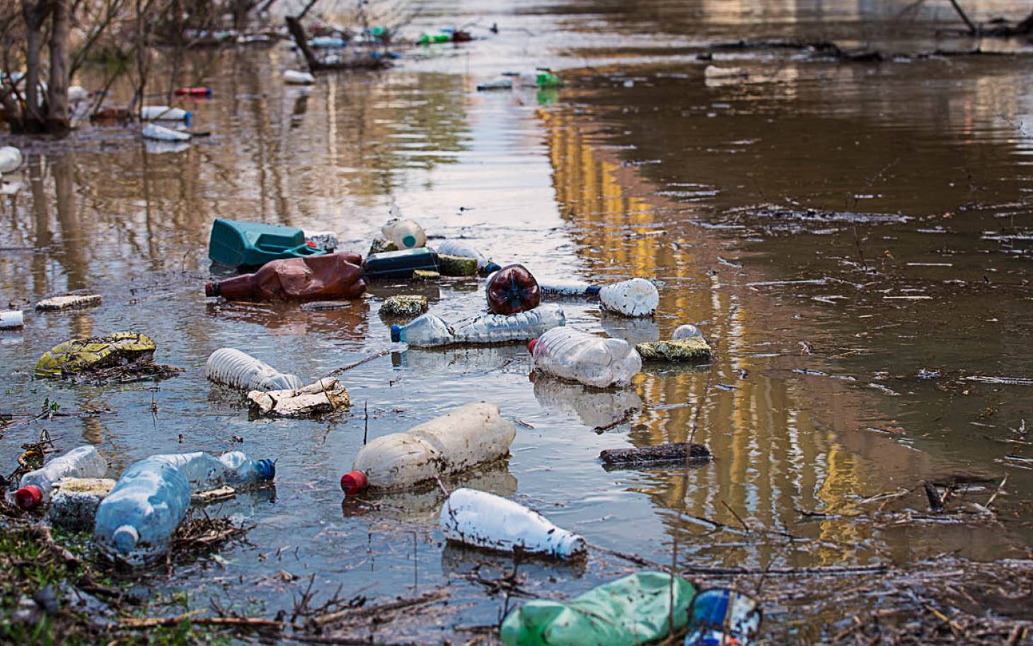 La difficile gestion des  atteintes à l’environnement