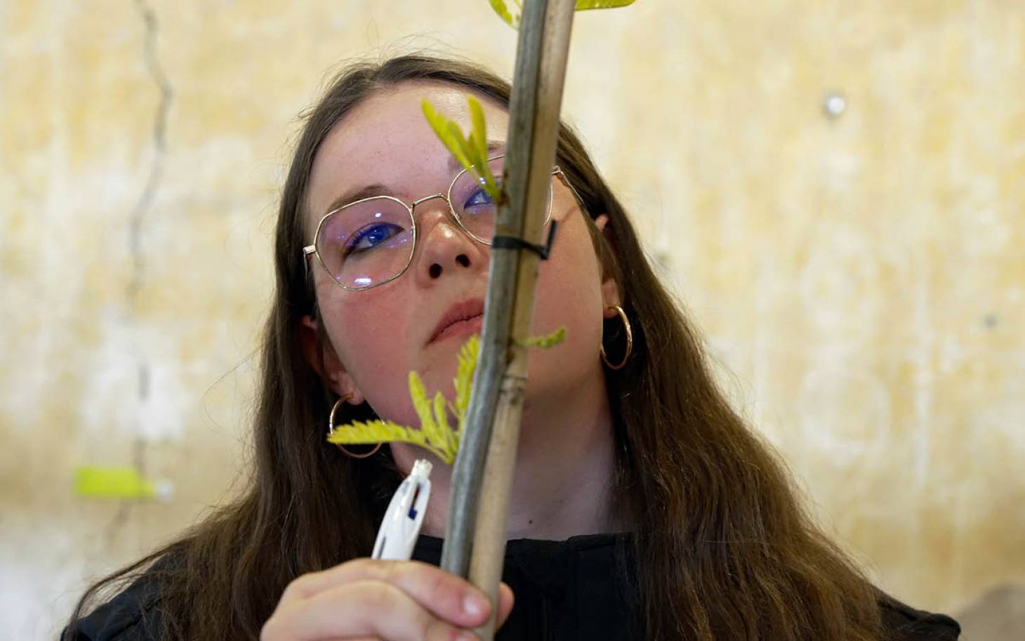 Clémence Emery, une mémoire florale