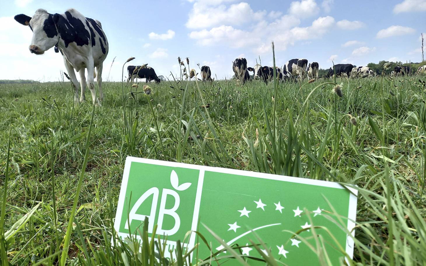 Le bio reprend des couleurs