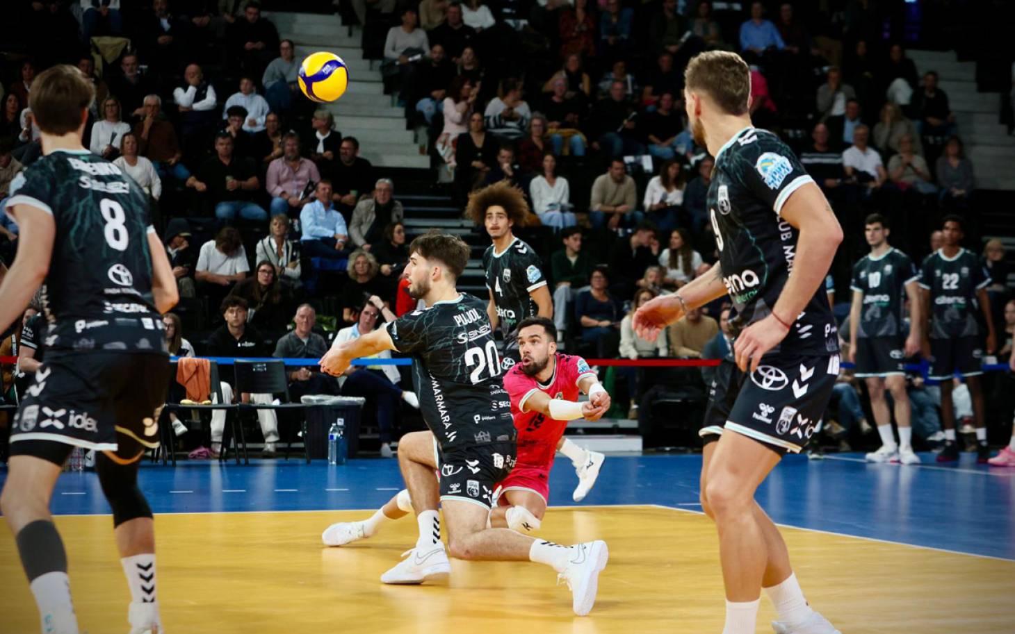 L’Europe, ce bel horizon pour l'Alterna SPVB