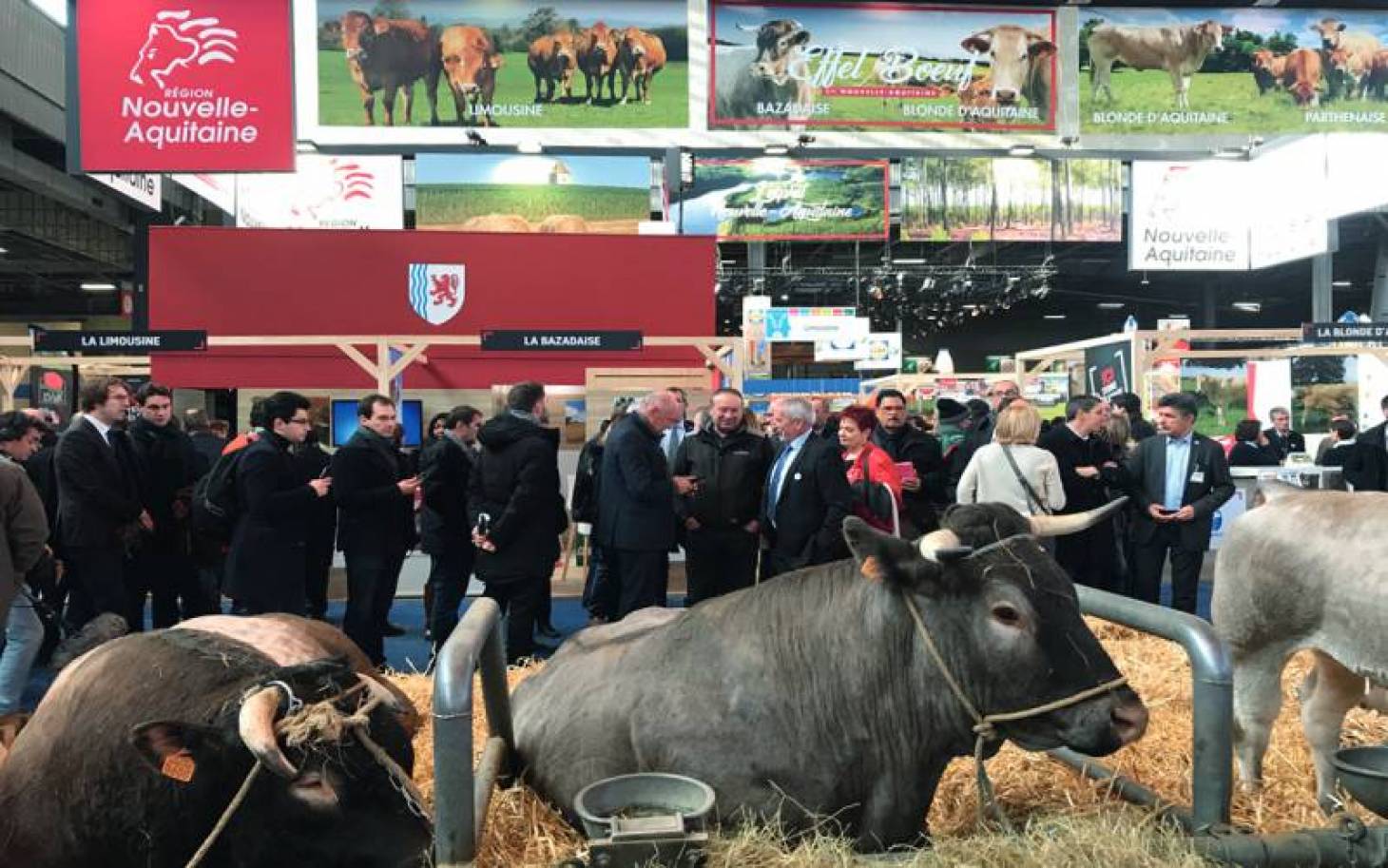 Nouvelle-Aquitaine :  dix ans, quel bilan ?