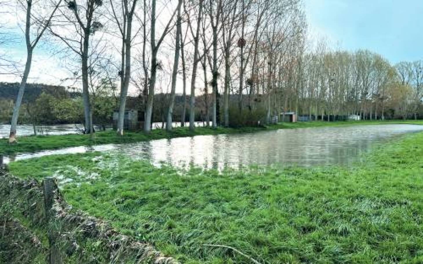 (Re)découvrez  la nature