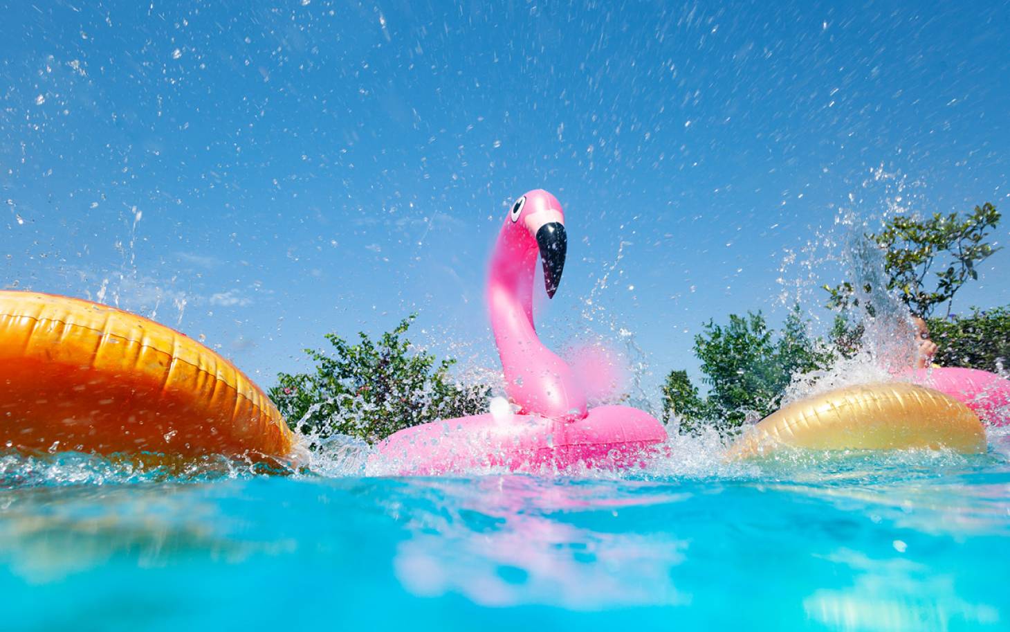 La piscine retrouve des couleurs