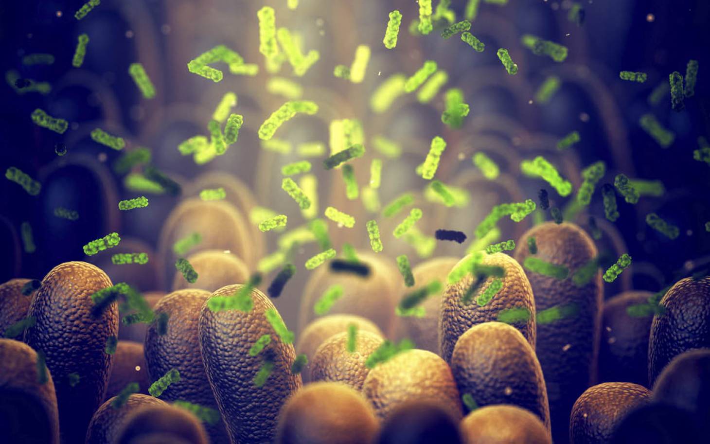 Microbiote : gare aux analyses en libre accès !