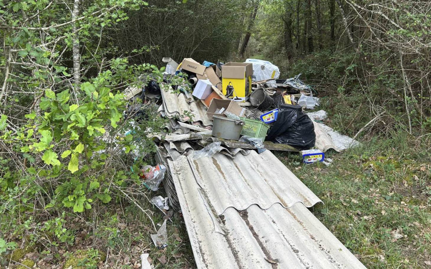 Dépôts sauvages :  la chasse aux incivilités