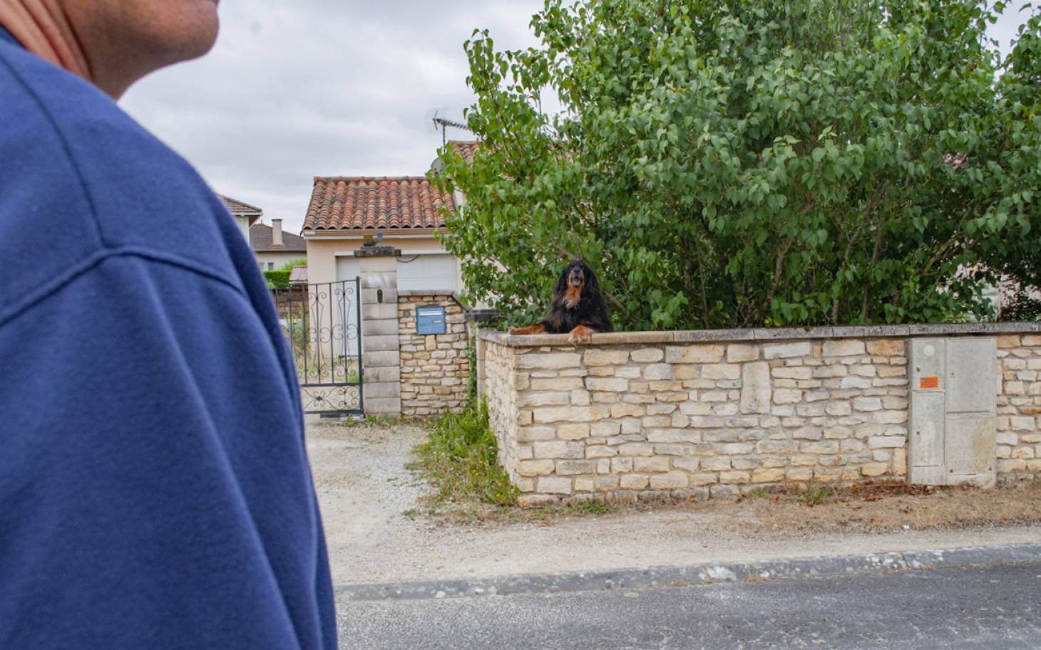 Chien méchant, facteur méfiant