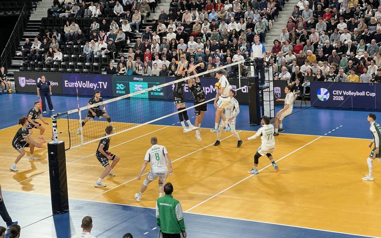 Volley/Coupe d'Europe CEV - L'Alterna SPVB opposé à un club grec en 16e de finale