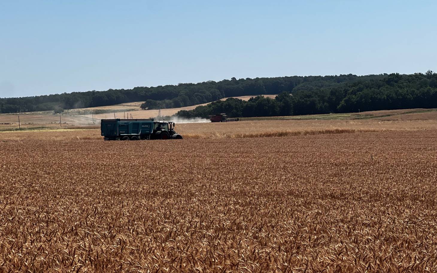 Risques de feux de forêt : la préfecture interdit plusieurs activités