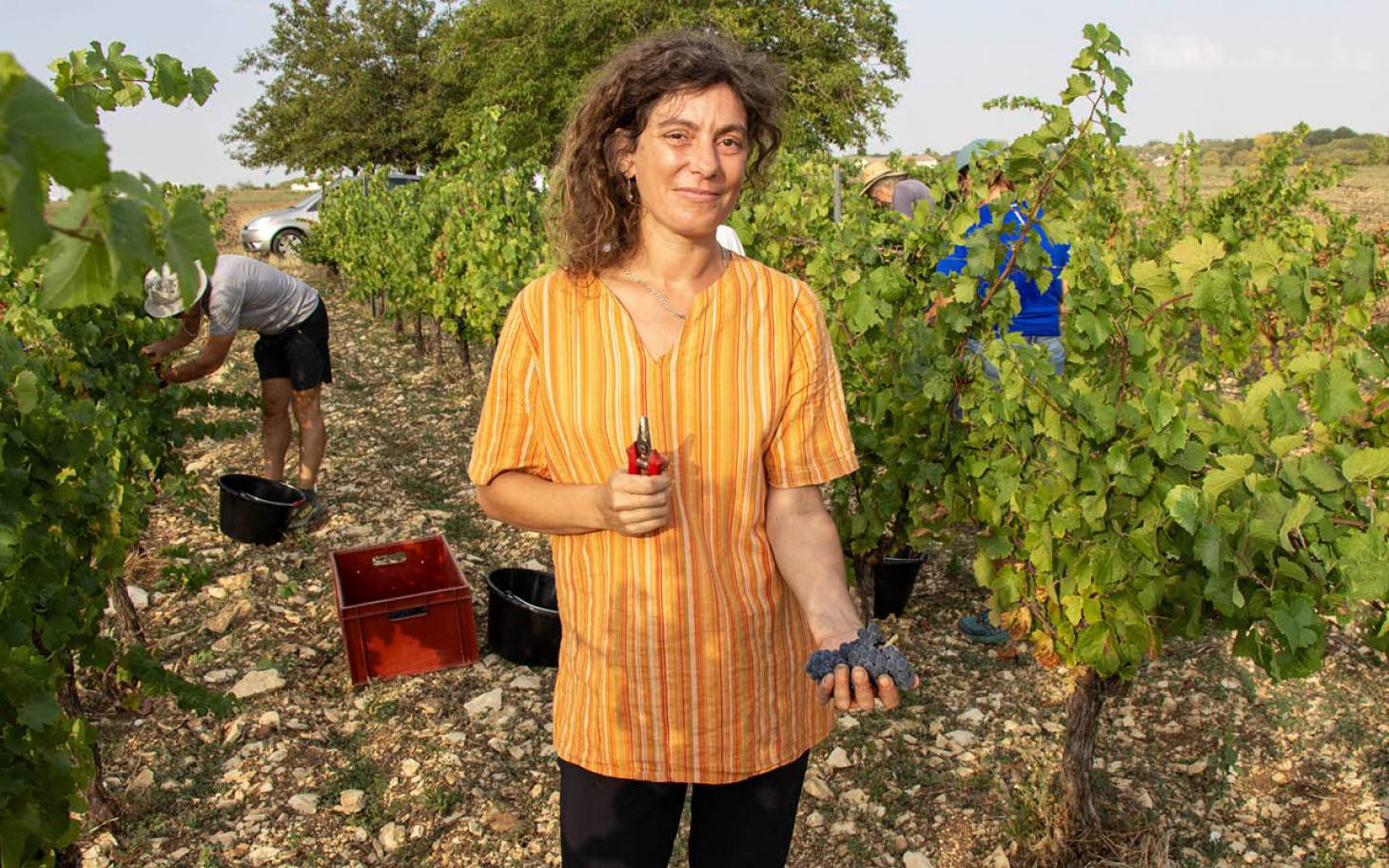 Barbara Jovino, de la plume au sécateur