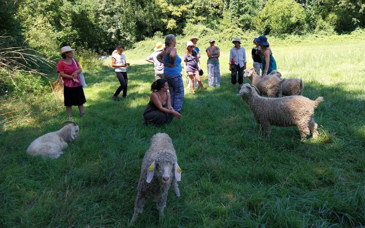 Entreprendre au féminin  en milieu rural