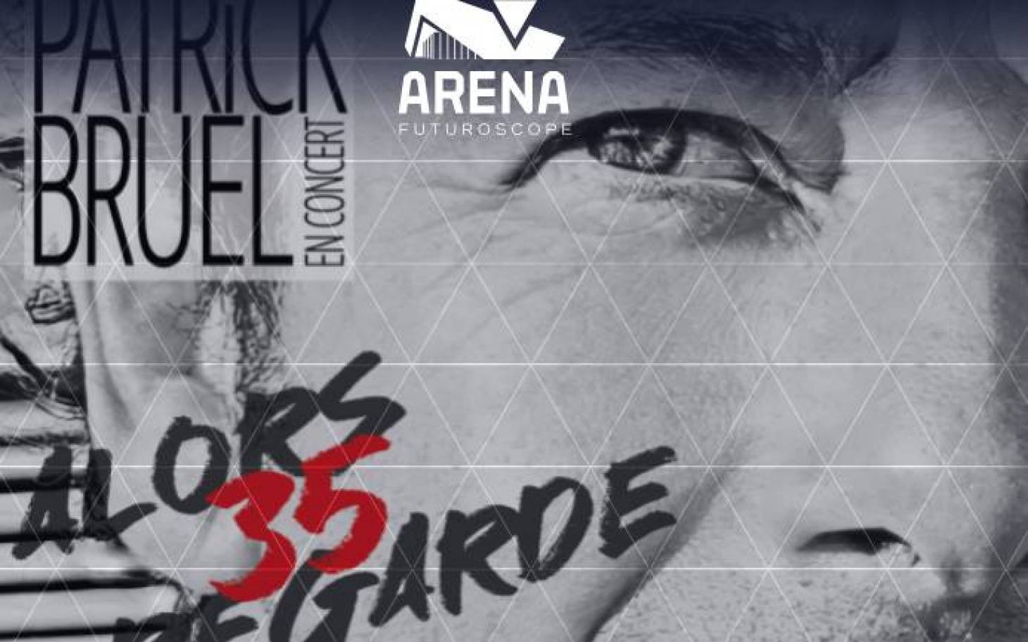 Patrick Bruel n'est pas le bienvenu dans la Vienne