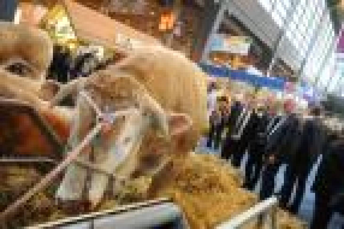 La Nouvelle-Aquitaine en force au Salon de l’agriculture