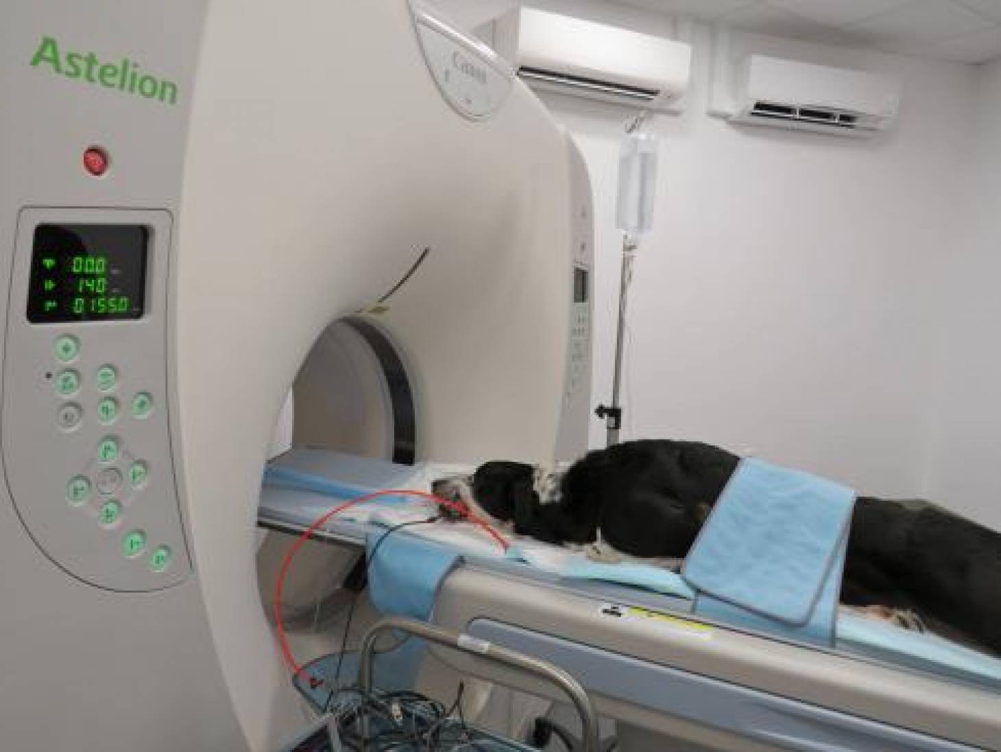 Le scanner des vétérinaires