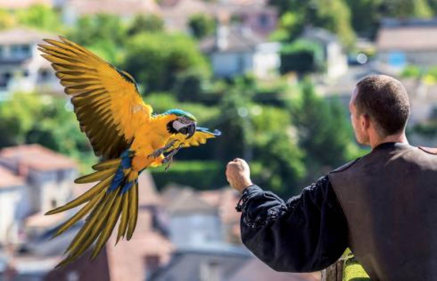 Les Géants du ciel portent bien leur nom 
