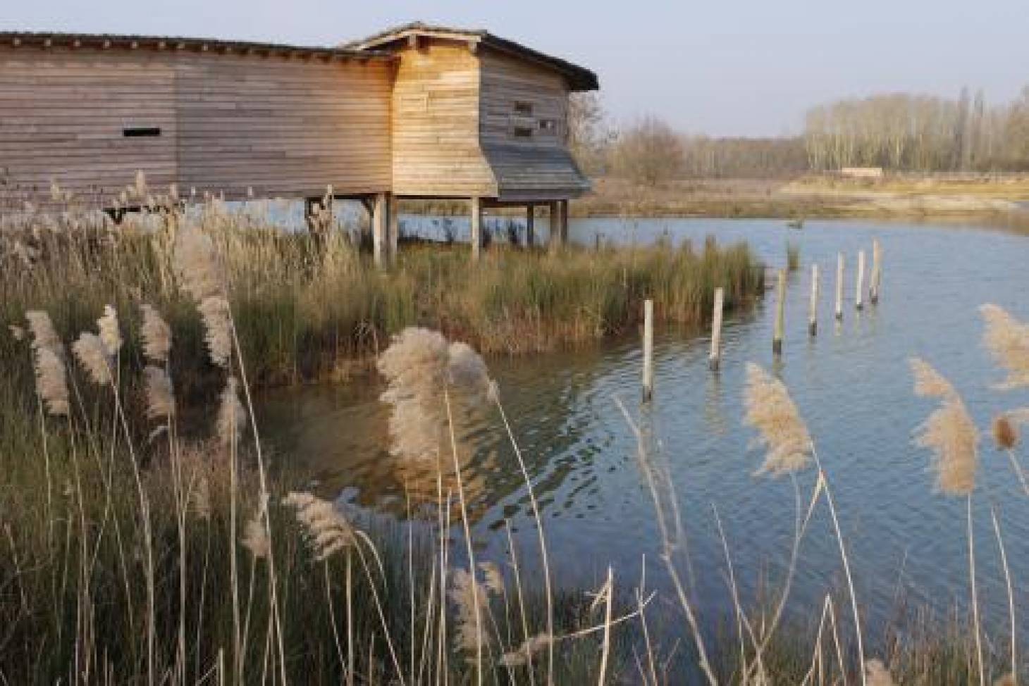 Saint-Cyr : la réserve ornithologique fête ses dix ans