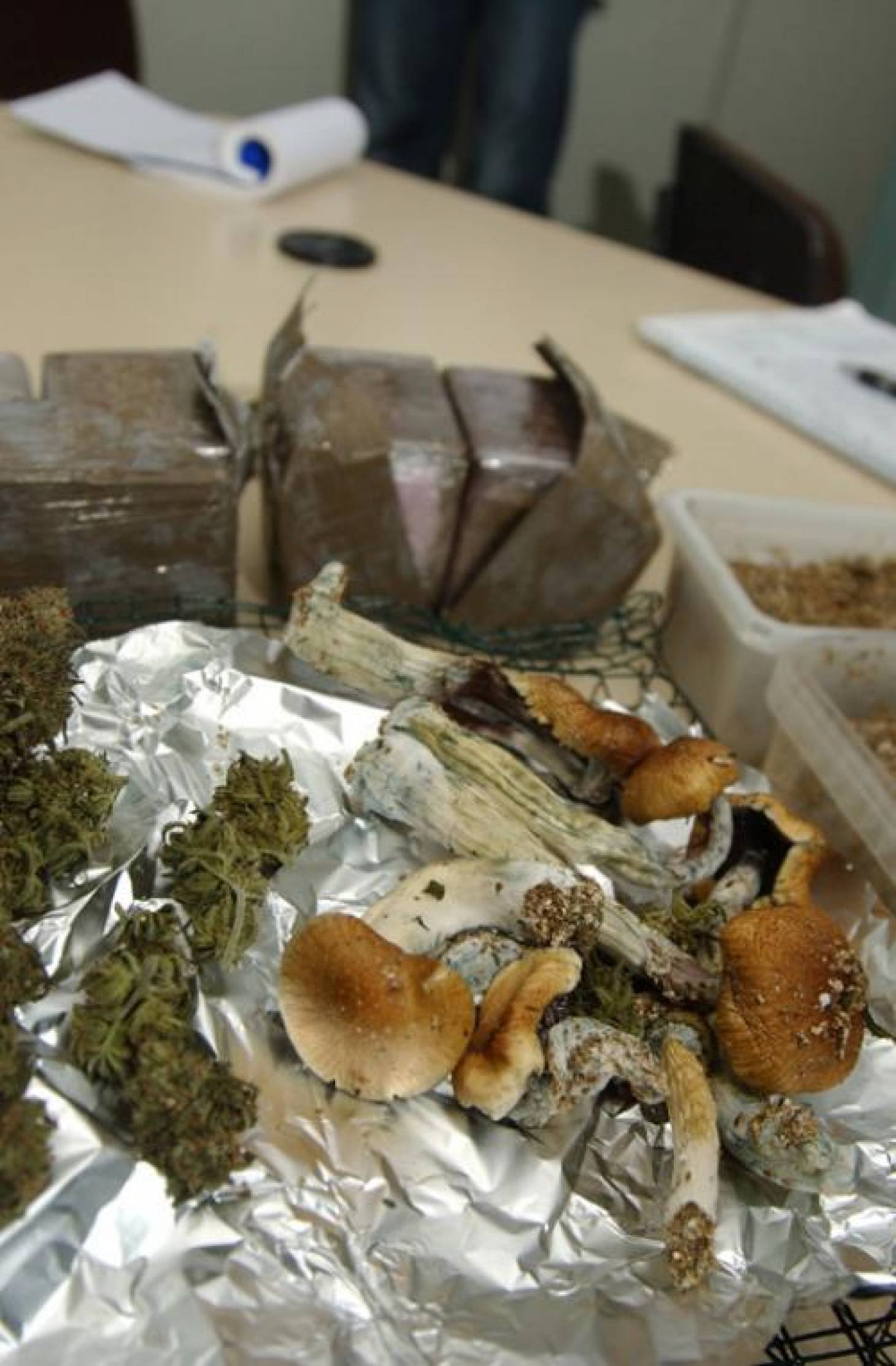 2kg de cannabis et champignons saisis